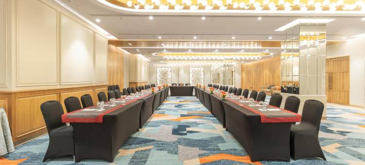 古尔冈29区丽怡酒店及套房(Radisson Hotel Sector 29 Gurugram)图片