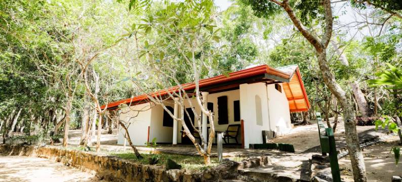 海浪海滩木屋(The Waves Beach Chalets)图片