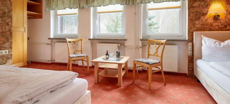 拉登明勒酒店(Hotel Ladenmühle)图片