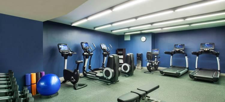 纽约市中心福朋喜来登酒店(Four Points by Sheraton New York Downtown)图片