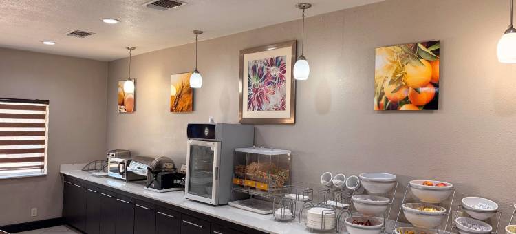 舒适套房酒店-李维斯维尔(Comfort Suites Lewisville)图片