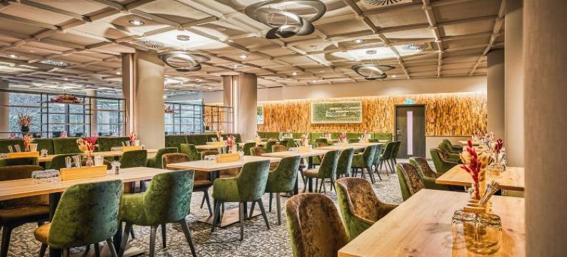 赛尔兰德斯特恩酒店(Sauerland Stern Hotel)图片