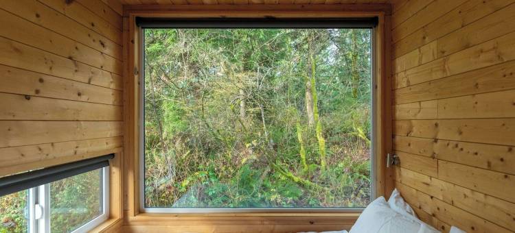 斯卡吉特谷明信片小屋，万豪旅享家户外系列(Postcard Cabins Skagit Valley)图片