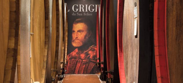 博尔戈圣菲丽奇酒店(Borgo San Felice)图片