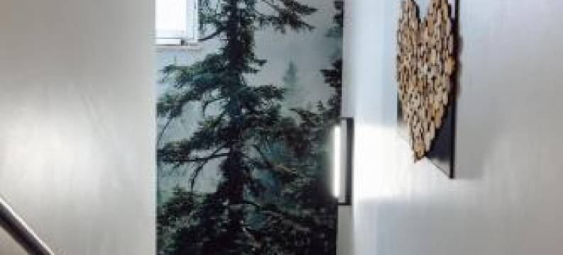 阿斯巴赫保梅海姆酒店(Auszeit Das Hotel Asbach-Bäumenheim)图片