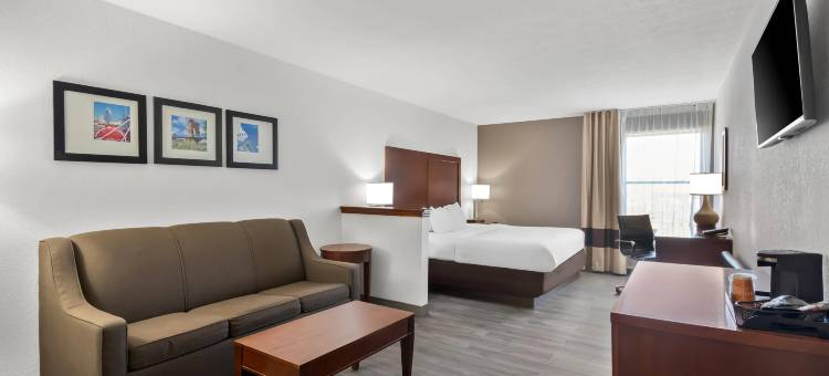 辛辛那提东门舒适套房酒店(Comfort Inn & Suites Cincinnati Eastgate)图片