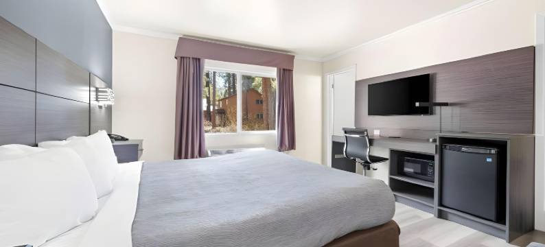 天堂村区伊克诺套房酒店(Econo Lodge Inn & Suites Heavenly Village Area)图片