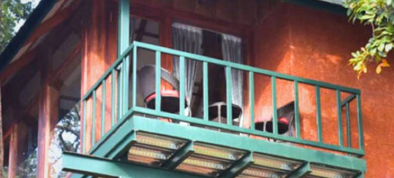 森林边缘度假村(Forest Edge Resort)图片