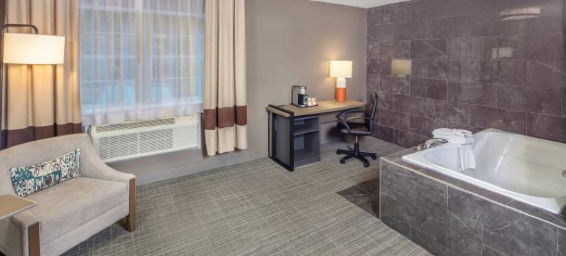 舒适酒店(Comfort Inn)图片