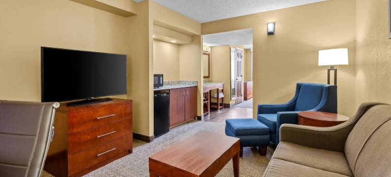 北莱克兰I-4舒适套房酒店(Comfort Inn & Suites Lakeland North I-4)图片