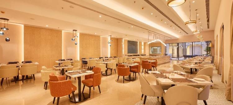 Skywings Sarovar Portico 马图拉(Skywings Sarovar Portico Mathura)图片