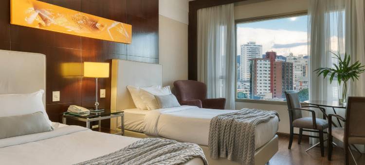 贝洛奥里藏特卢尔德美居酒店(Mercure Belo Horizonte Lourdes)图片
