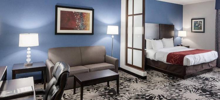 格林维尔舒适套房酒店(Comfort Suites Greenville)图片