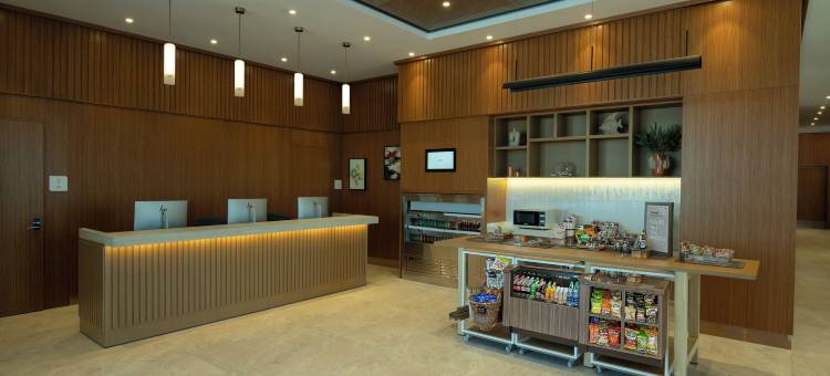 希尔顿花园酒店伊斯坦布尔彭迪克(Hilton Garden Inn Istanbul Pendik)图片