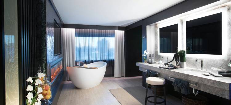 尼亚加拉瀑布喜来登酒店(Sheraton Niagara Falls)图片