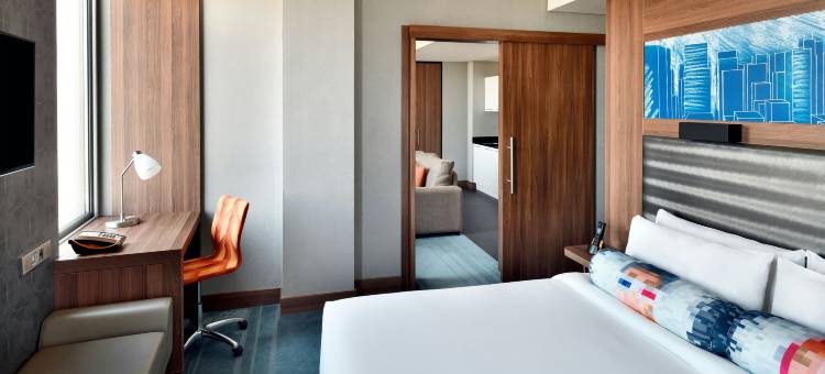 利雅得雅乐轩酒店(Aloft Riyadh)图片
