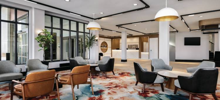 蒙特利尔机场丽笙酒店(Radisson Hotel Montreal Airport)图片