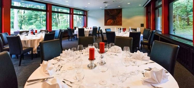 弗罗伊登施塔特DORMERO酒店(Dormero Hotel Freudenstadt)图片