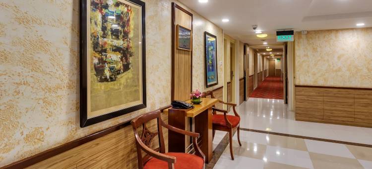 新德里哈里纳加尔金色郁金香酒店(Golden Tulip New Delhi - Hari Nagar)图片