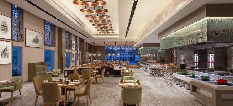 齐普尔阿梅尔希尔顿逸林酒店(DoubleTree by Hilton Jaipur Amer)图片