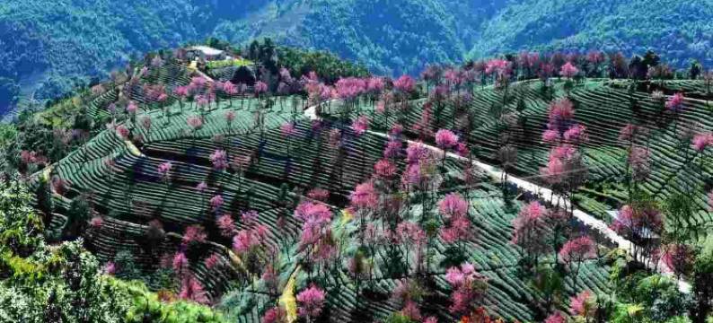 南涧山语酒店图片