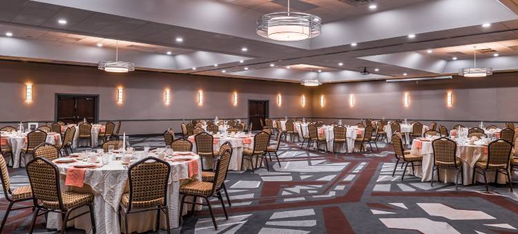 Holiday Inn 奥本指湖区(Holiday Inn Auburn-Finger Lakes Region)图片