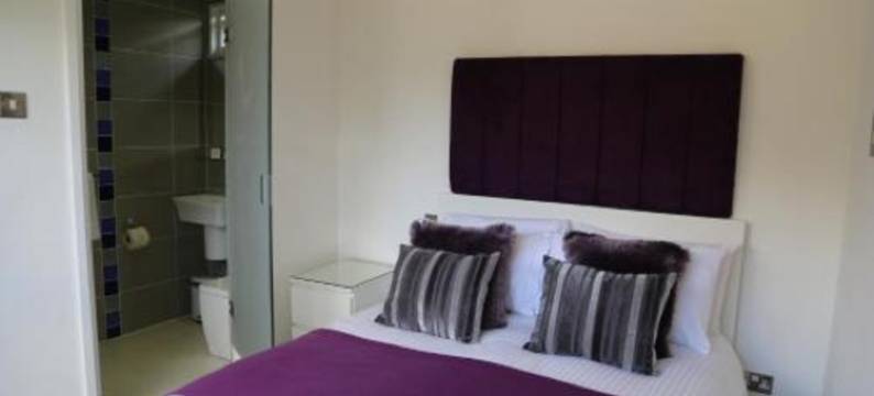 惊喜酒店(Who'd A Thought It)图片