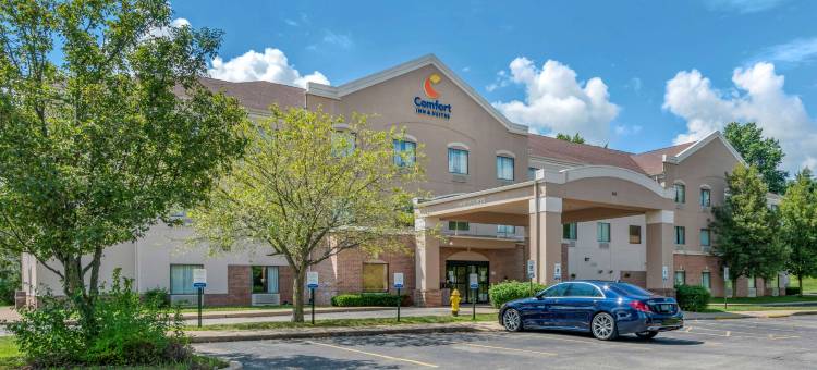 圣路易斯奥法伦舒适套房酒店(Comfort Inn & Suites St Louis-O'Fallon)图片