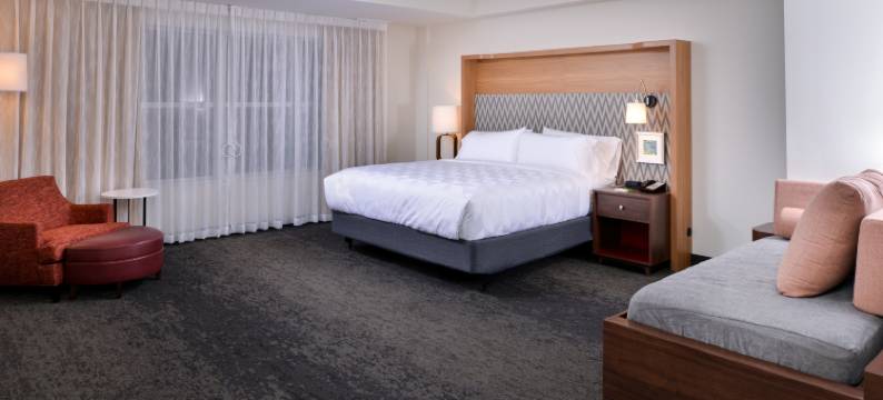 法明顿希尔斯-底特律西北假日酒店(Holiday Inn & Suites FARMINGTON HILLS - DETROIT NW by IHG)图片