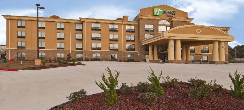 智选假日套房酒店杰克逊/珍珠国际机场(Holiday Inn Express & Suites JACKSON/PEARL INTL AIRPORT by IHG)图片