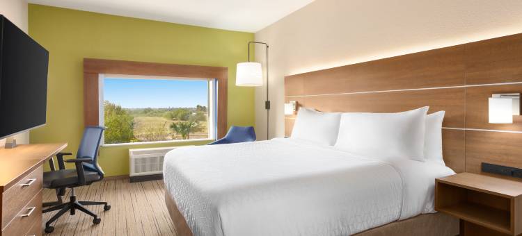 智选假日套房酒店任务麦卡伦地区(Holiday Inn Express & Suites Mission-Mcallen Area)图片