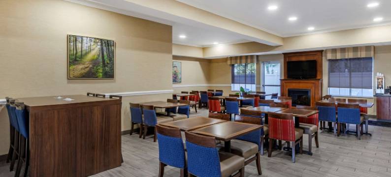 舒适套房酒店(Comfort Inn & Suites)图片