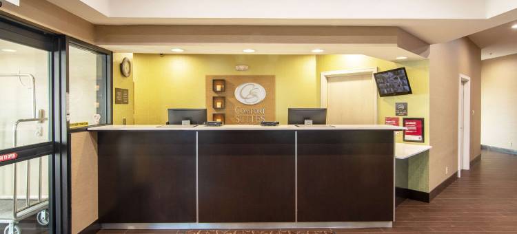 西北达拉斯爱田附近舒适全套房酒店(Comfort Suites NW Dallas Near Love Field)图片