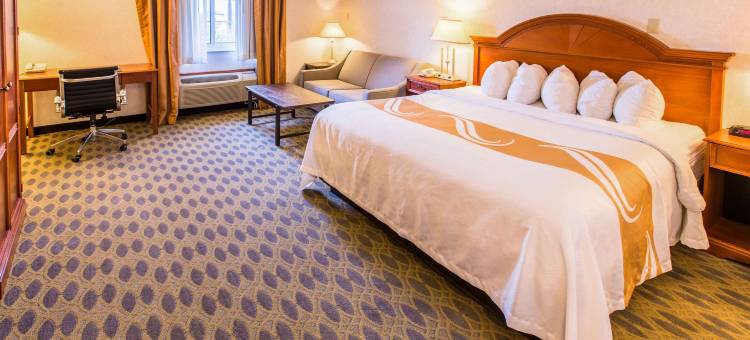 大学区凯艺套房酒店(Quality Inn & Suites University)图片