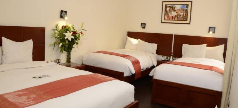 金印加酒店(Golden Inca Hotel)图片