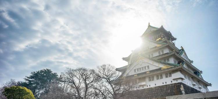 大阪洲际酒店(InterContinental Hotel Osaka)图片