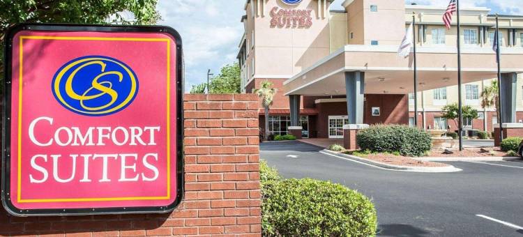 岩石丘曼彻斯特梅多斯区舒适套房酒店(Comfort Suites Rock Hill Manchester Meadows Area)图片