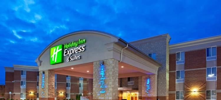 智选假日套房酒店奥本希尔斯(Holiday Inn Express & Suites Auburn Hills)图片