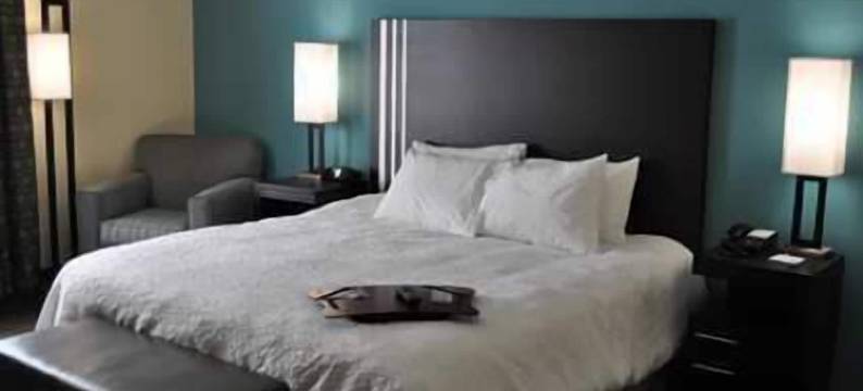 希尔顿欢朋酒店-普莱森顿(Hampton Inn Pleasanton)图片