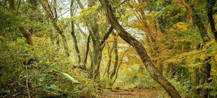 济州岛潘帕斯酒店(Jeju Pampas Pension)图片