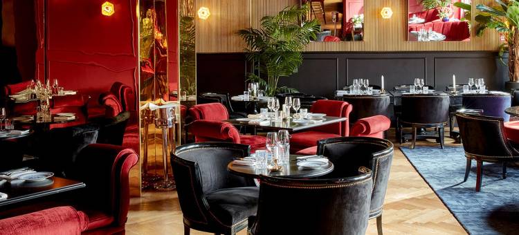 柏林Provocateur设计酒店(Provocateur Berlin, a Member of Design Hotels)图片