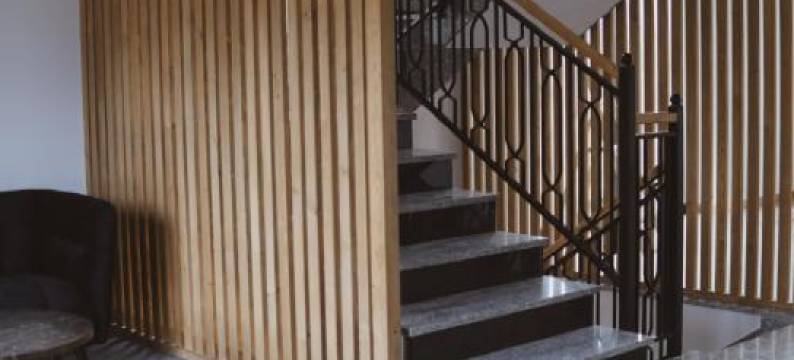 Willa Koszysta图片