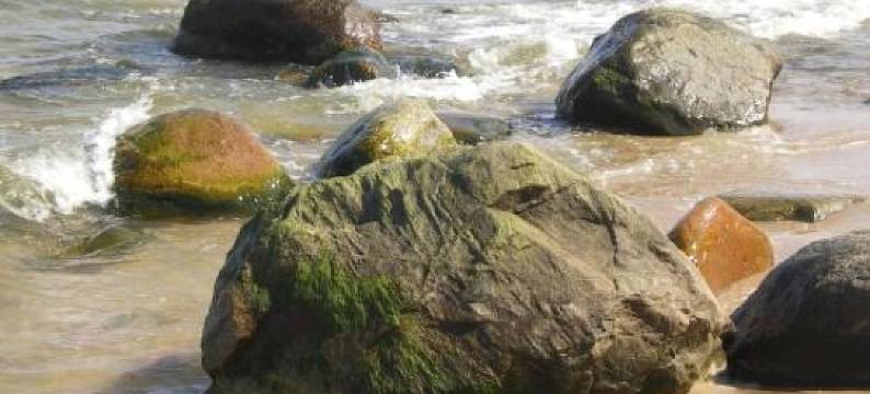 Ferienwohnung ÜckeRitz Bei Familie Habben Mit Pkw Stellplatz图片