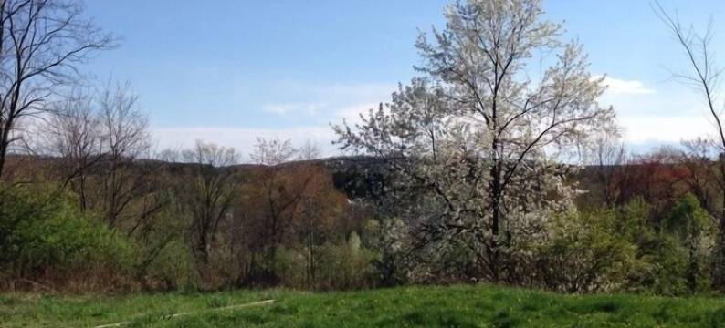 霍斯特全套房经济酒店(All Suites Inn Budget Host)图片