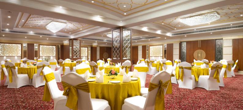 Cygnett Inn Paras图片