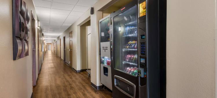 圣安东尼奥海洋世界-医学中心快捷旅馆及套房(Express Inn & Suites San Antonio Near SeaWorld - Medical Center)图片
