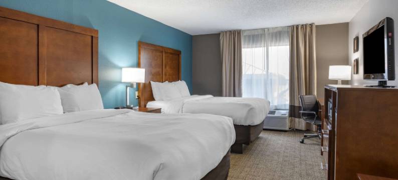 舒适酒店-普莱恩菲尔德-印第安纳波利斯机场(Comfort Inn Plainfield - Indianapolis Airport)图片