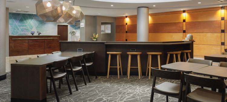 土耳其溪诺克斯维尔万豪SpringHill酒店(SpringHill Suites Knoxville at Turkey Creek)图片
