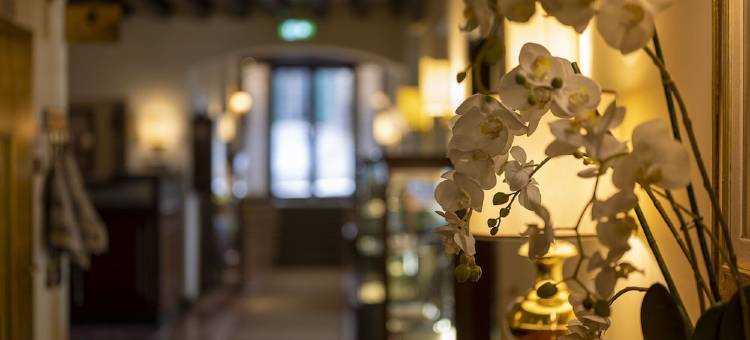 奇普里亚尼别墅酒店(Hotel Villa Cipriani)图片