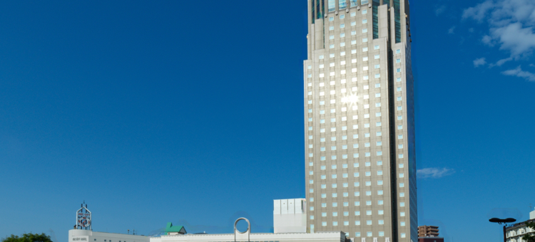 札幌艾米西亚酒店(Hotel Emisia Sapporo)图片